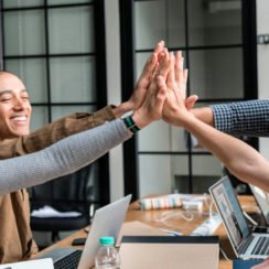 bolsa de trabajo y empleos